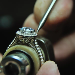 shutterstock_1711358725